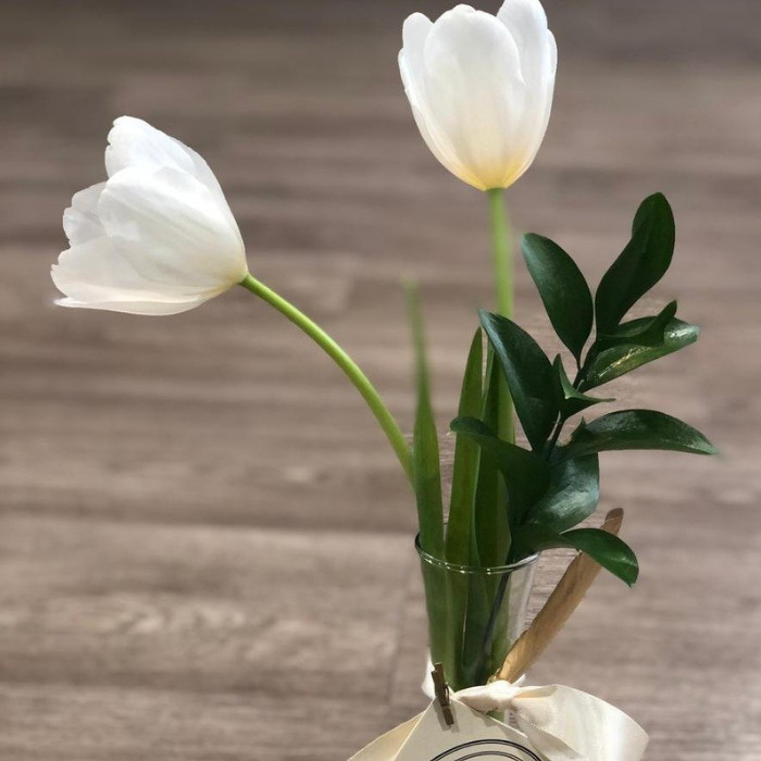 VIOLETERO TULIPANES O ROSAS