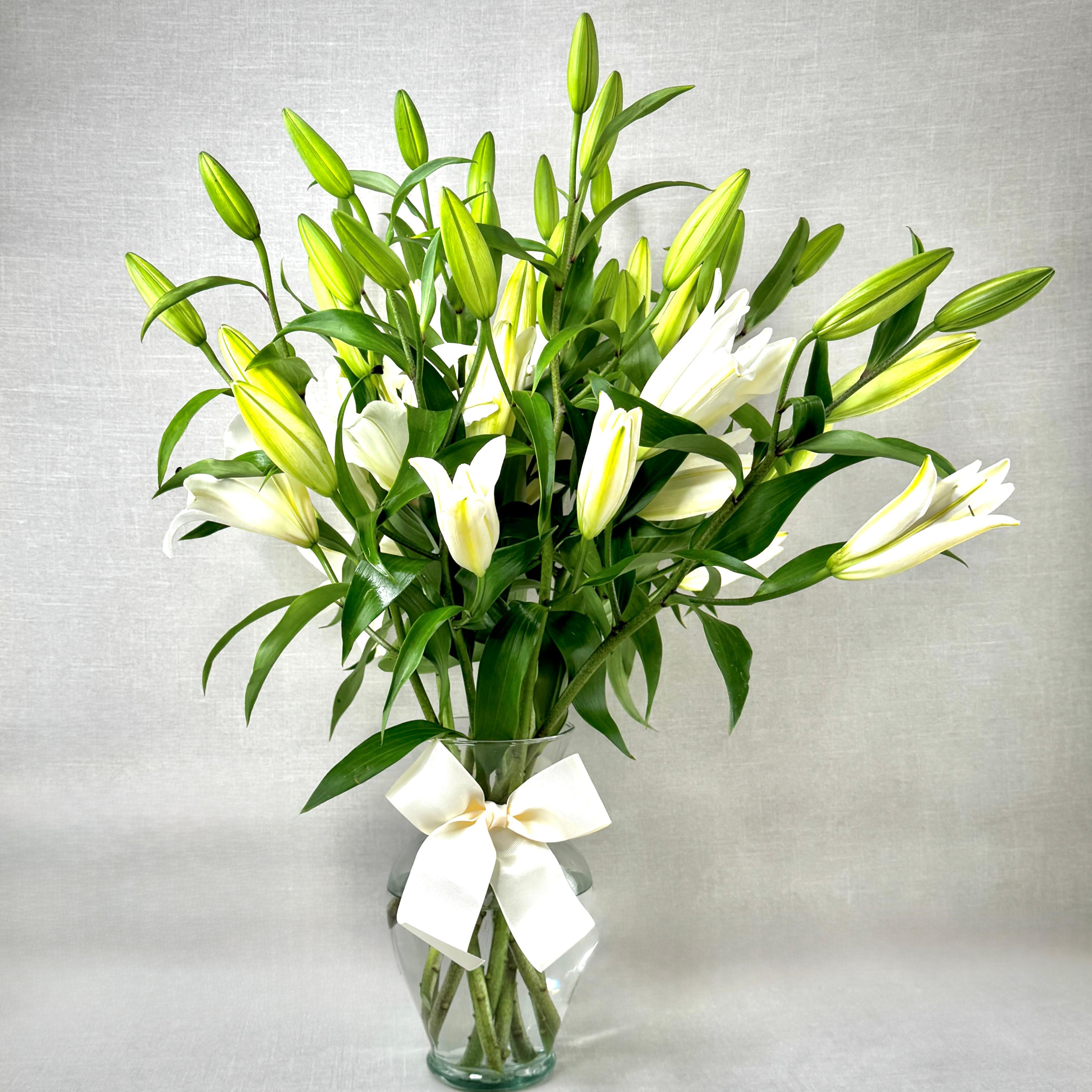 FLORES BLANCAS CASA BLANCAS