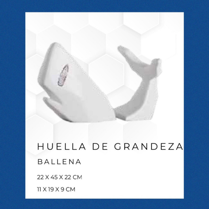 BALLENA, ÁLVARO CUEVAS