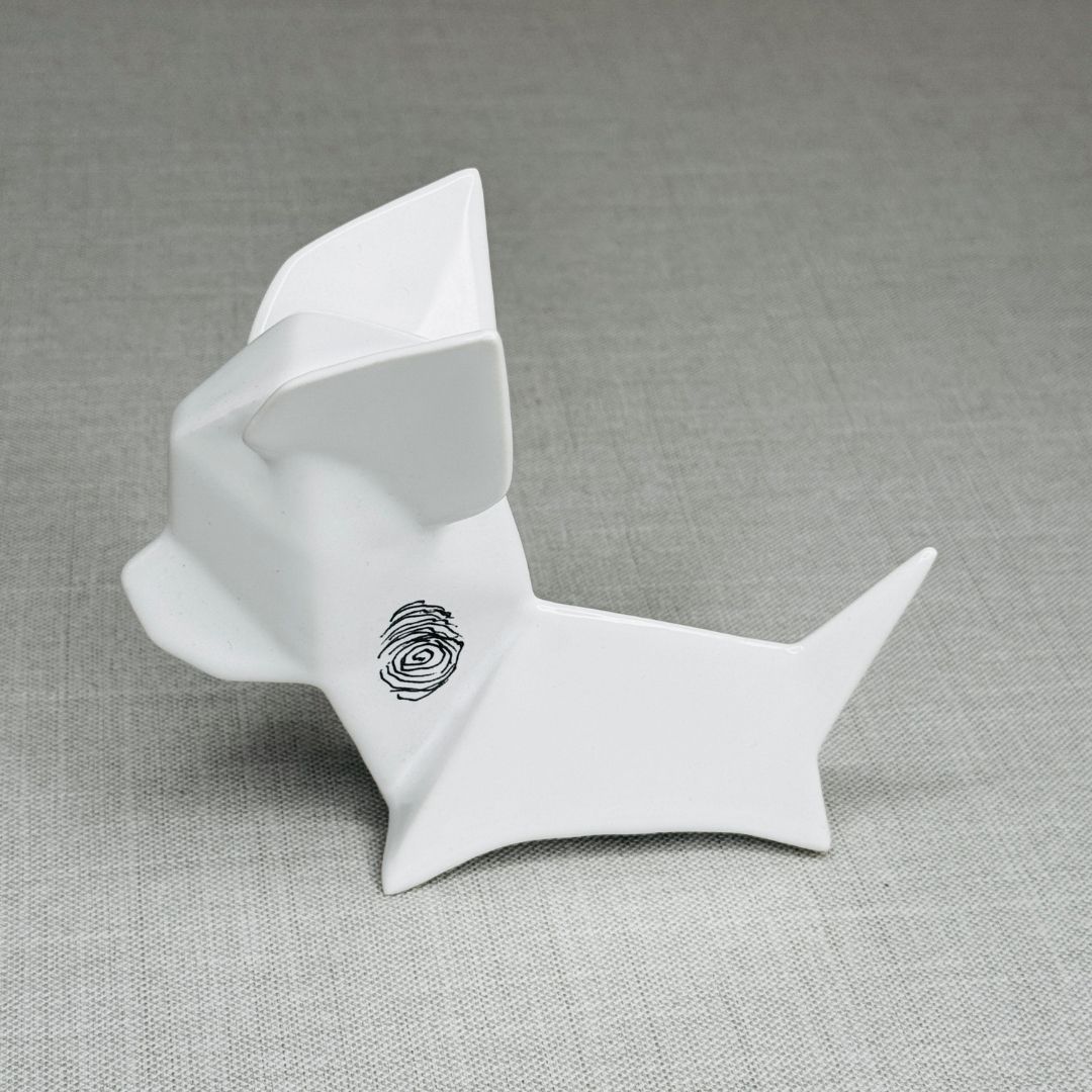 PERRO CHIHUAHUA, ÁLVARO CUEVAS