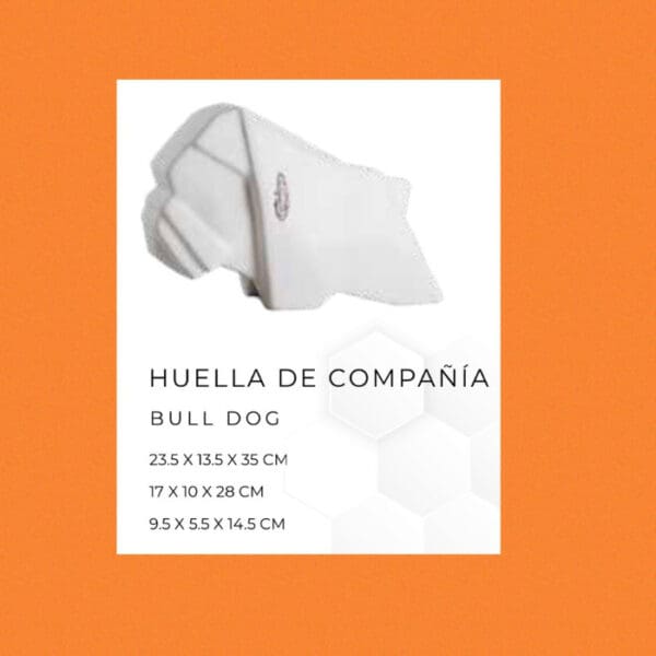 PERRO  BULL DOG, ALVARO CUEVAS