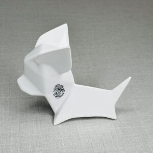 PERRO CHIHUAHUA, ÁLVARO CUEVAS