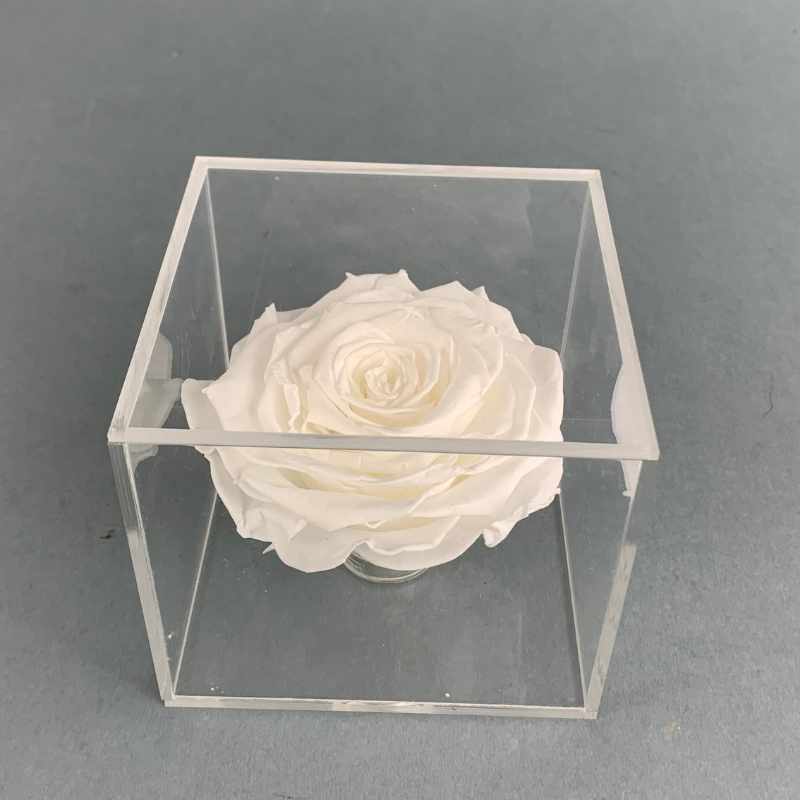 ROSAS BLANCAS PRESERVADAS EN CAJA DE ACRÍLICO - Imagen 2