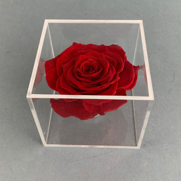 ROSAS ROJAS PRESERVADAS EN CAJA DE ACRÍLICO - Imagen 3