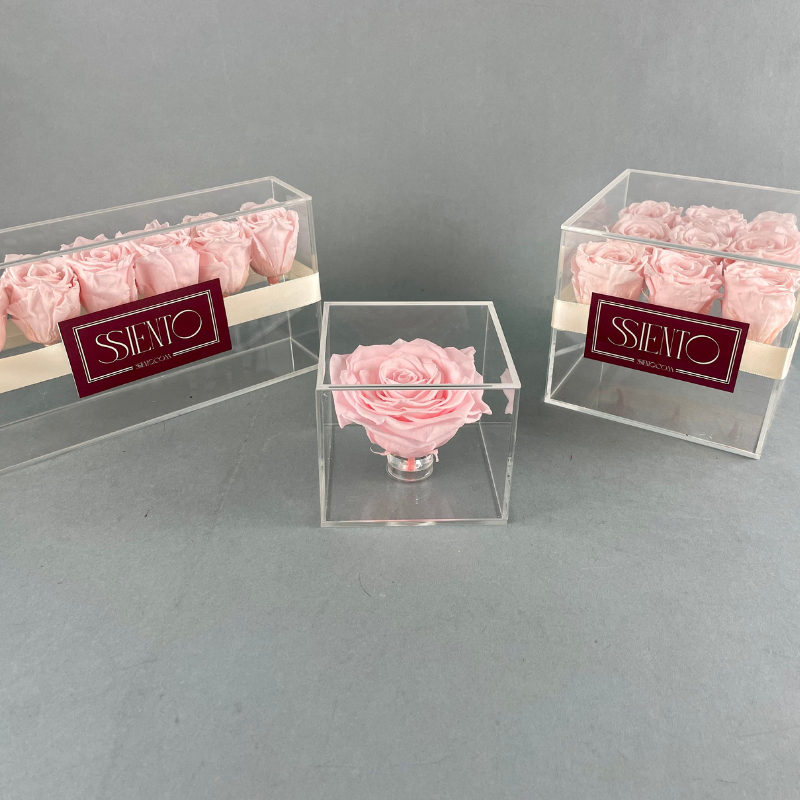 ROSAS ROSAS PRESERVADAS EN CAJA DE ACRÍLICO - Imagen 2