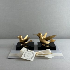 COLIBRÍ DE DAVIT NAVA - Imagen 3