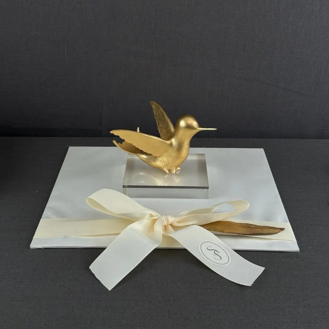 COLIBRÍ DE DAVIT NAVA