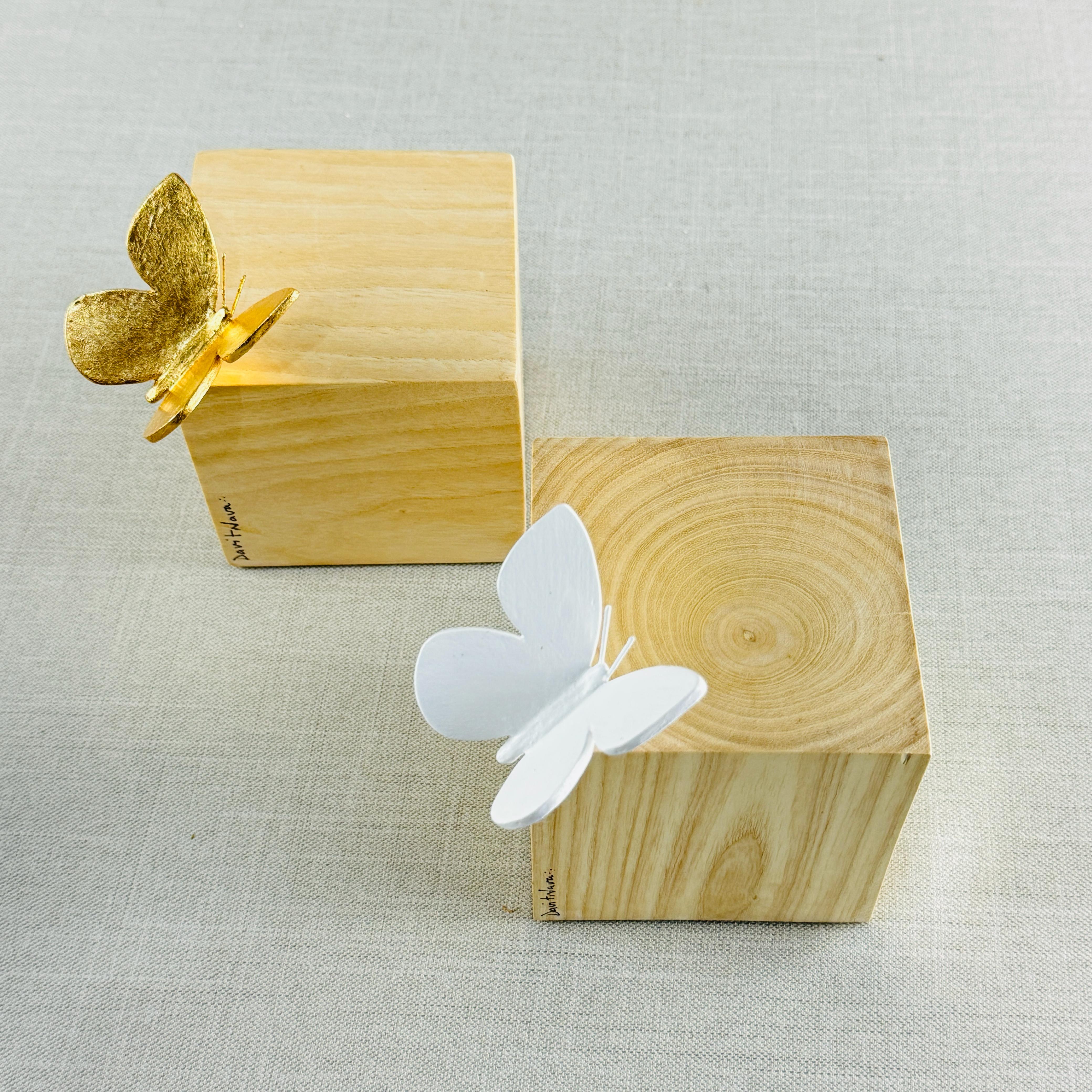 CUBO CON MARIPOSA DE DAVIT NAVA - Imagen 2