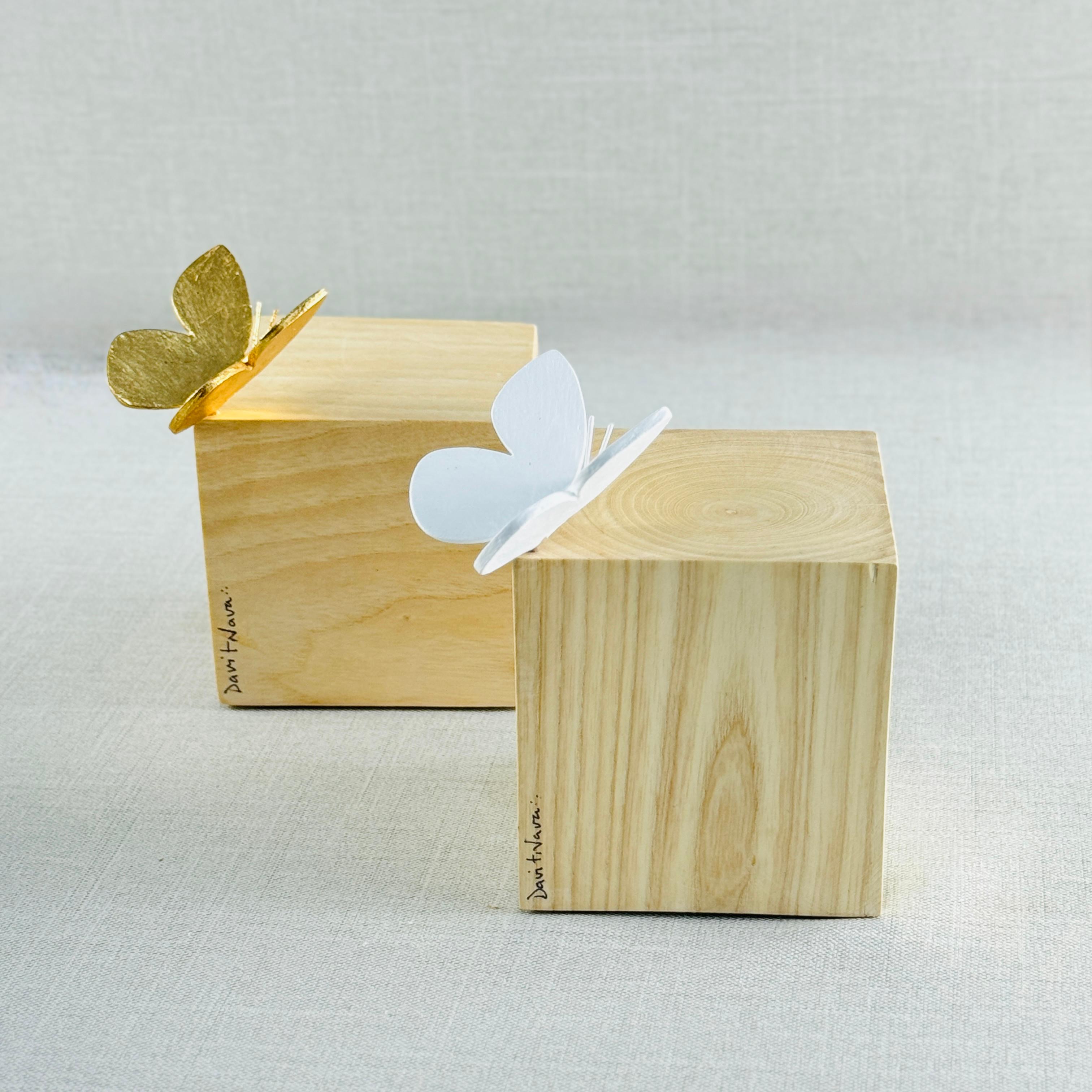 CUBO CON MARIPOSA DE DAVIT NAVA